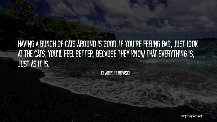 Feel Good Look Good Quotes By Charles Bukowski Feel Good Look Good Quotes By Charles Bukowski