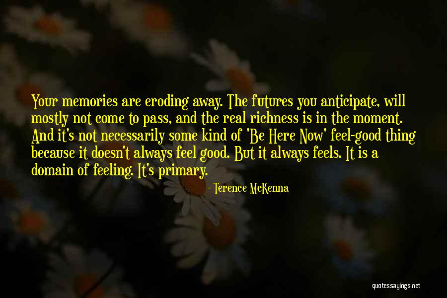 Feel Good Now Quotes By Terence McKenna Feel Good Now Quotes By Terence McKenna