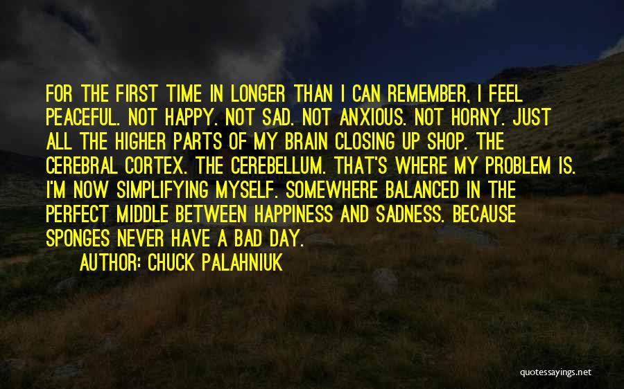 Feel Happy Now Quotes By Chuck Palahniuk