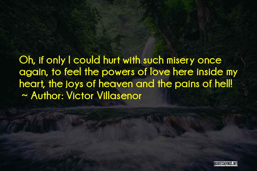 Feel Hurt Inside Quotes By Victor Villasenor