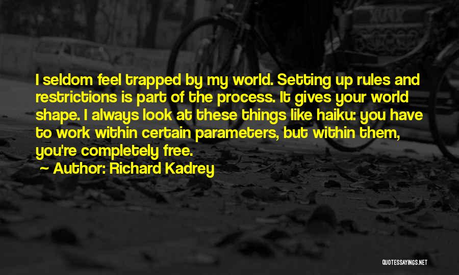 Feel Like Giving Up Quotes By Richard Kadrey