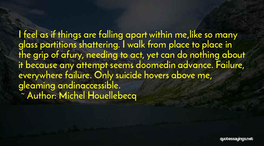 Feel Like Nothing Quotes By Michel Houellebecq