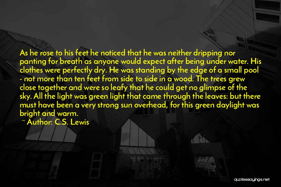 Feel More Quotes By C.S. Lewis