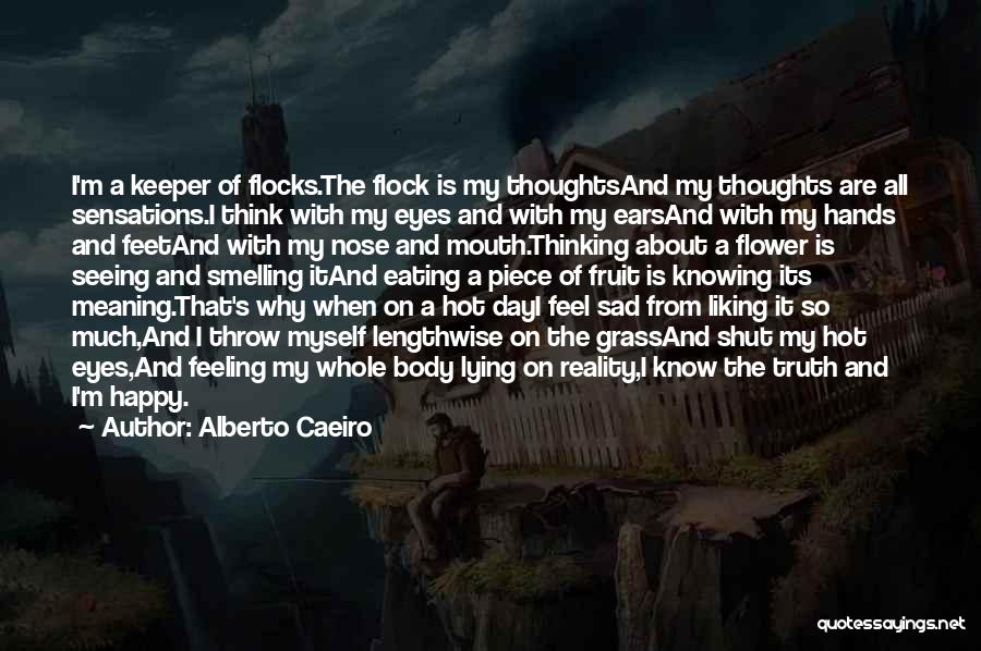 Feel My Love Sad Quotes By Alberto Caeiro