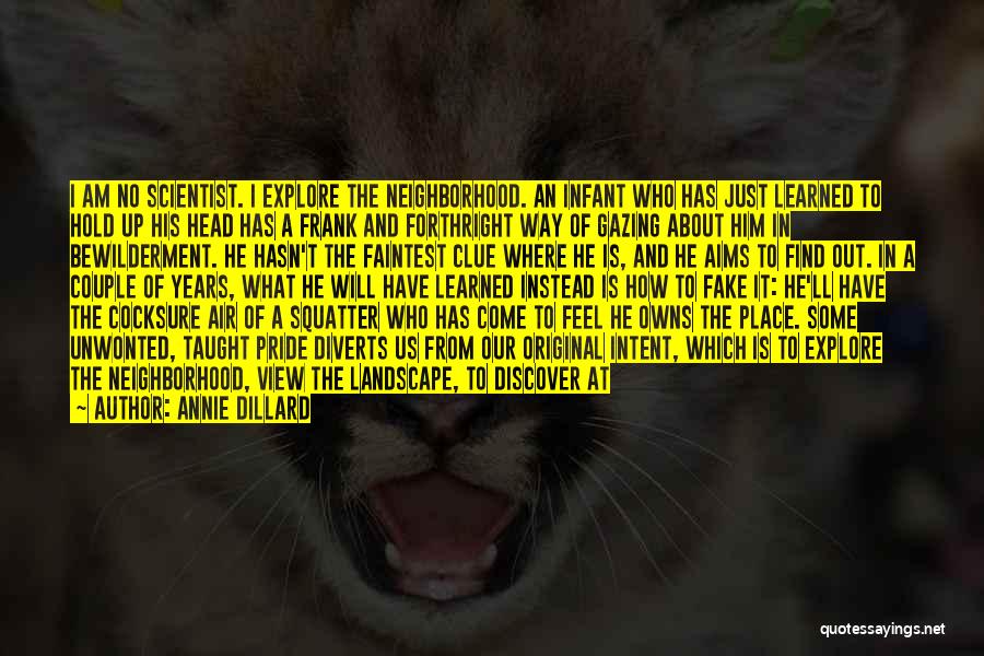 Feel Out Of Place Quotes By Annie Dillard