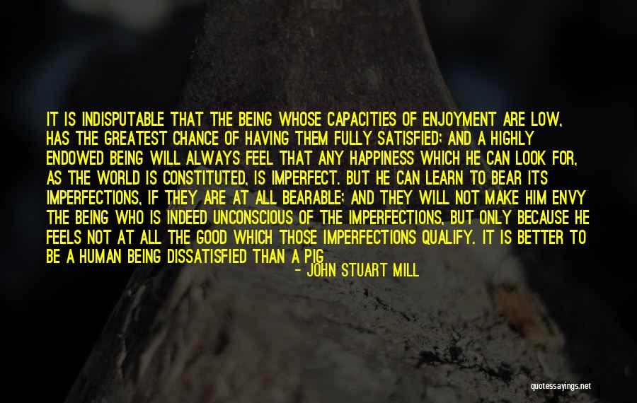 Feel Satisfied Quotes By John Stuart Mill Feel Satisfied Quotes By John Stuart Mill