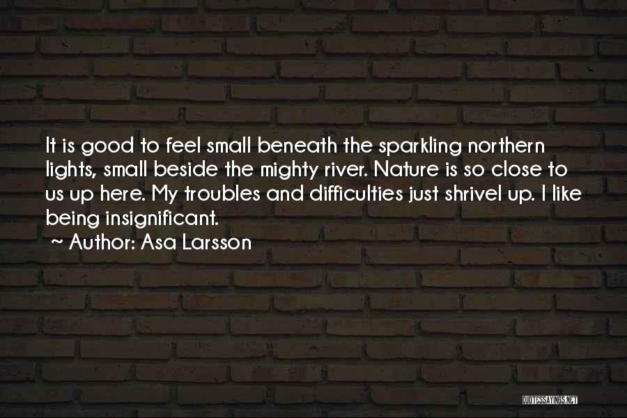 Feel So Close Quotes By Asa Larsson