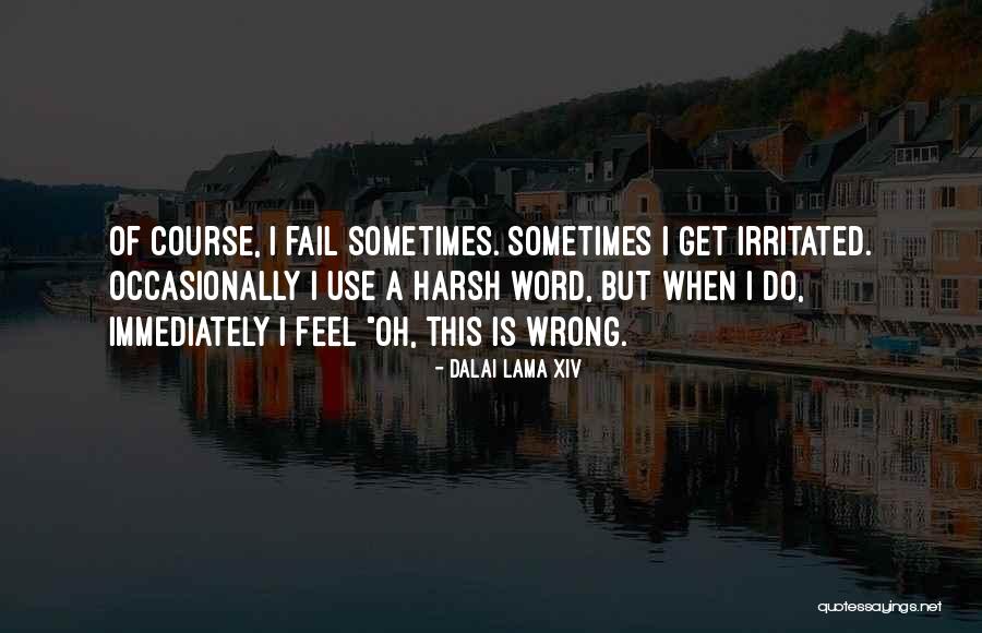 Feel So Irritated Quotes By Dalai Lama XIV Feel So Irritated Quotes By Dalai Lama XIV