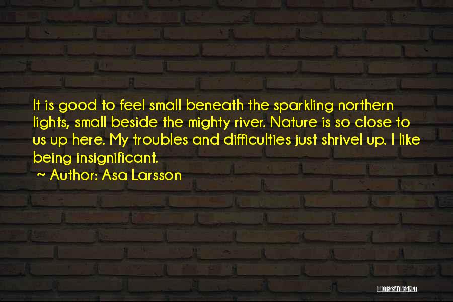 Feel So Small Quotes By Asa Larsson