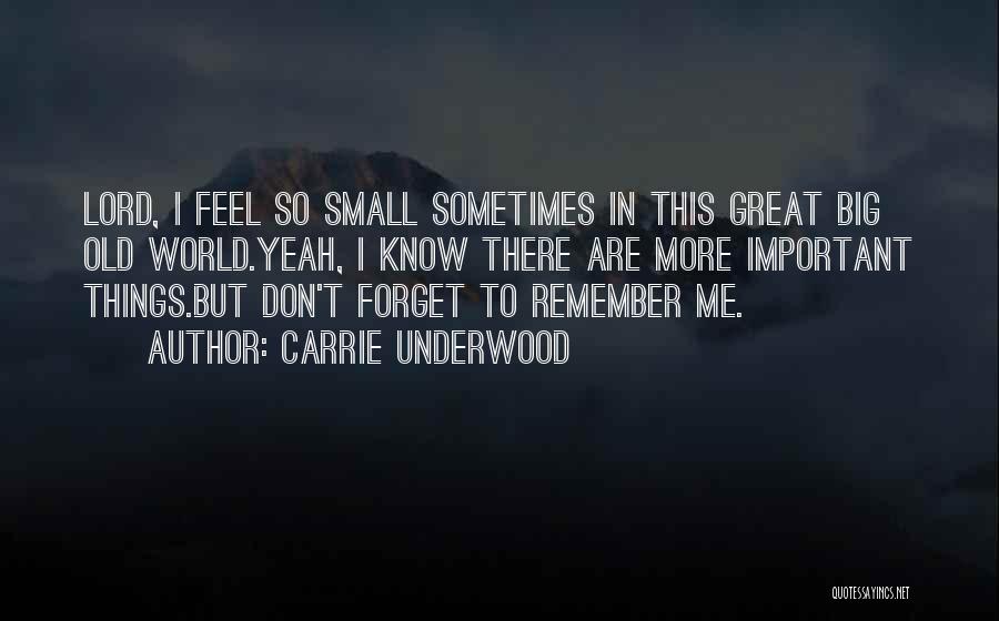 Feel So Small Quotes By Carrie Underwood