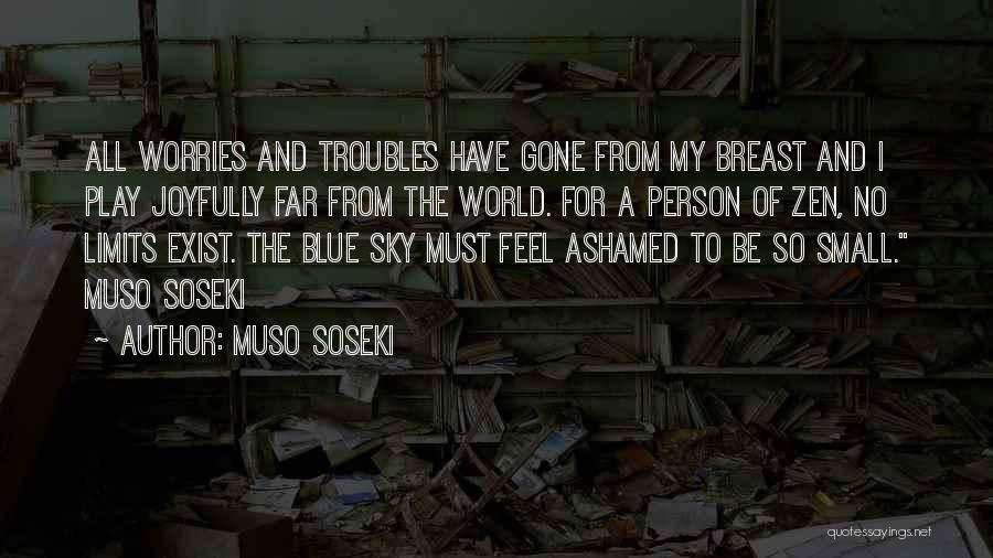 Feel So Small Quotes By Muso Soseki