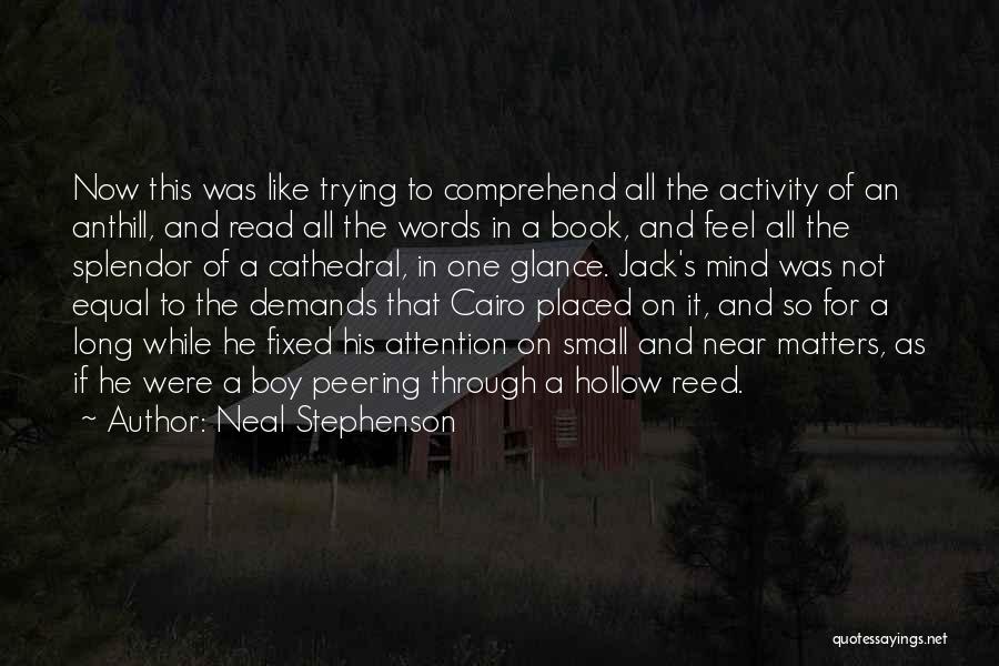Feel So Small Quotes By Neal Stephenson