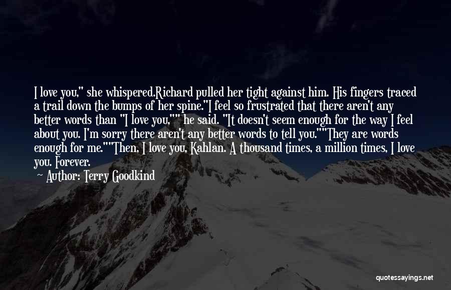 Feel Sorry For Him Quotes By Terry Goodkind