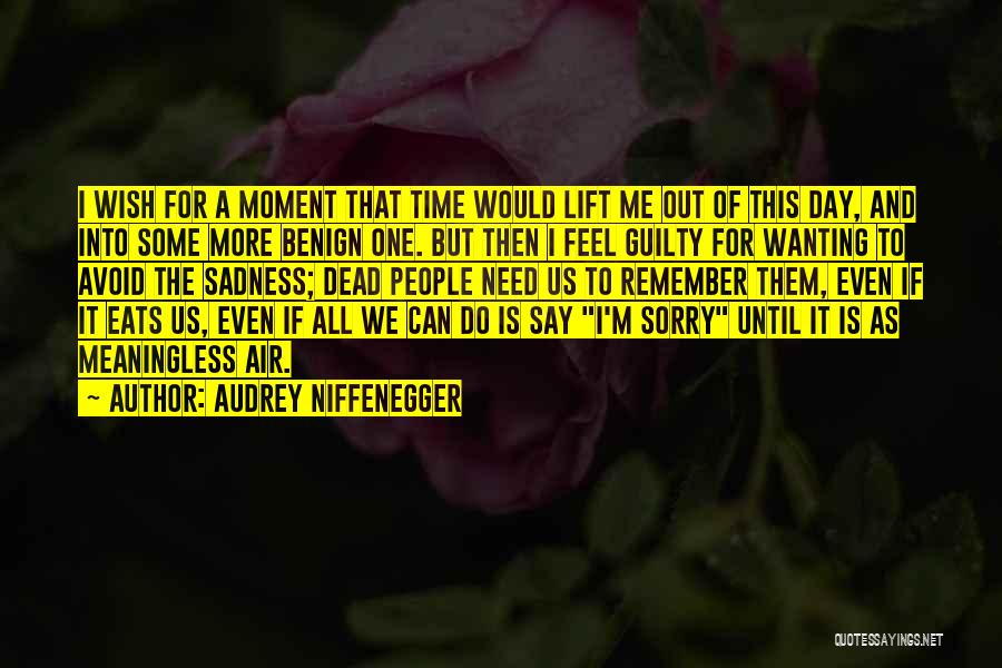 Feel Sorry For Them Quotes By Audrey Niffenegger