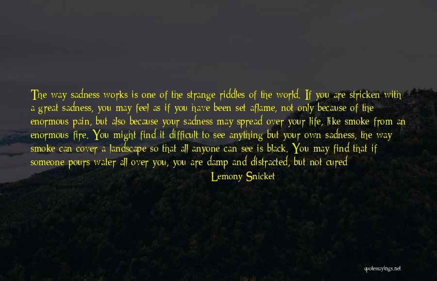 Feel That Fire Quotes By Lemony Snicket Feel That Fire Quotes By Lemony Snicket