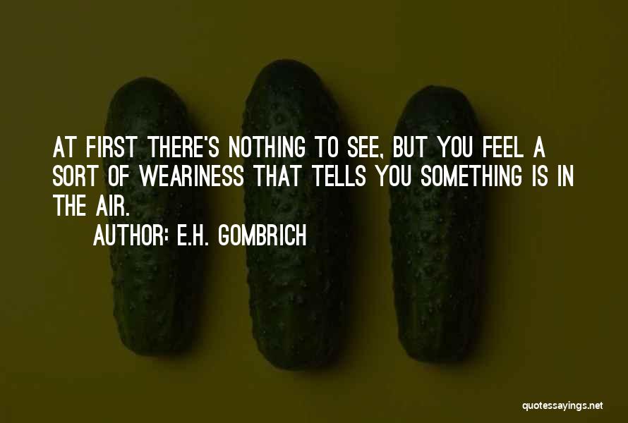 Feel The Air Quotes By E.H. Gombrich