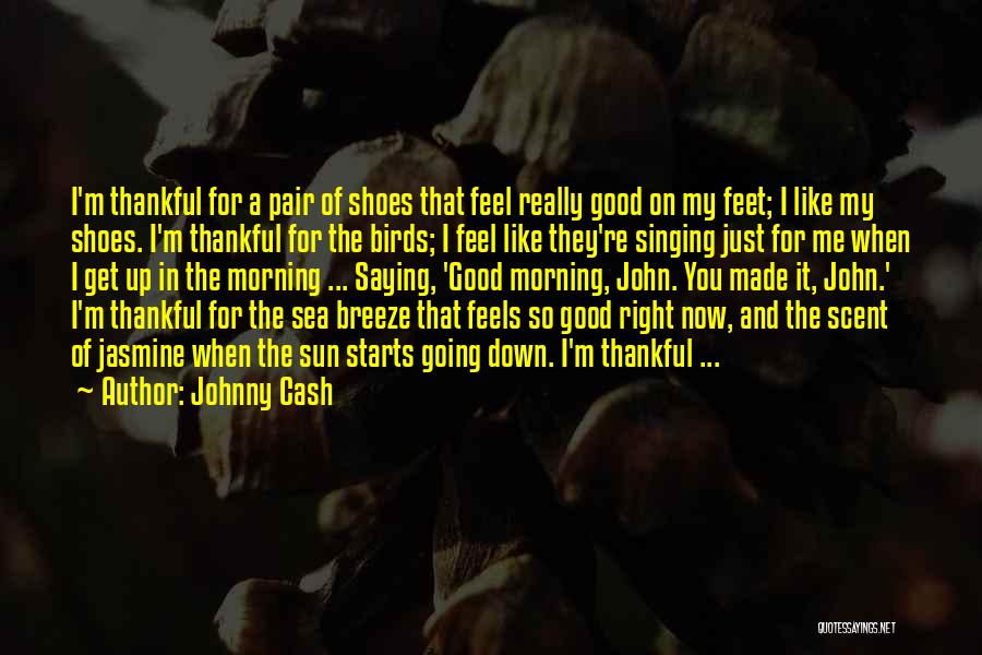 Feel The Breeze Quotes By Johnny Cash