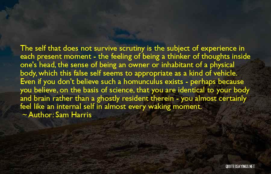Feel The Moment Quotes By Sam Harris