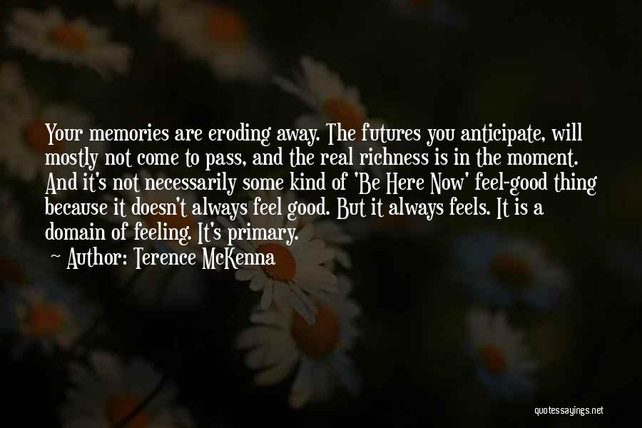 Feel The Moment Quotes By Terence McKenna