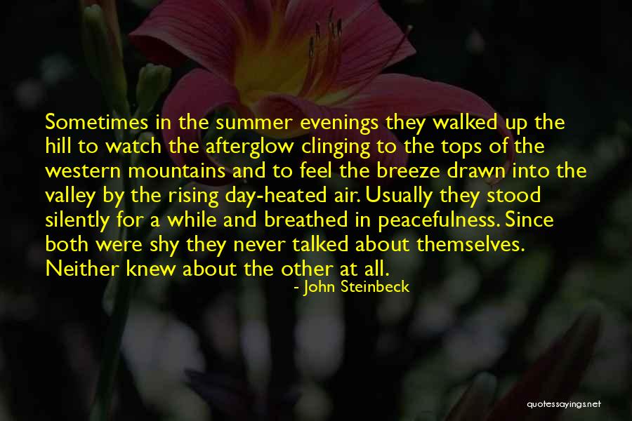 Feel The Mountains Quotes By John Steinbeck Feel The Mountains Quotes By John Steinbeck