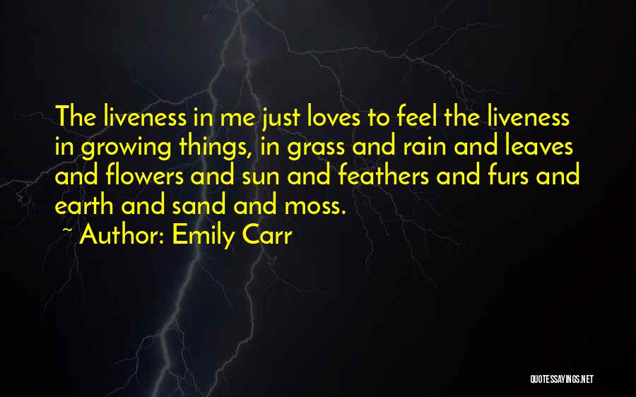 Feel The Rain Quotes By Emily Carr