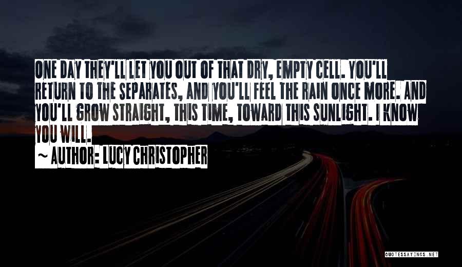 Feel The Rain Quotes By Lucy Christopher