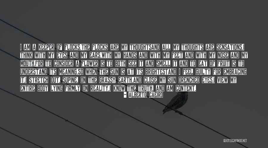 Feel The Sun Quotes By Alberto Caeiro Feel The Sun Quotes By Alberto Caeiro