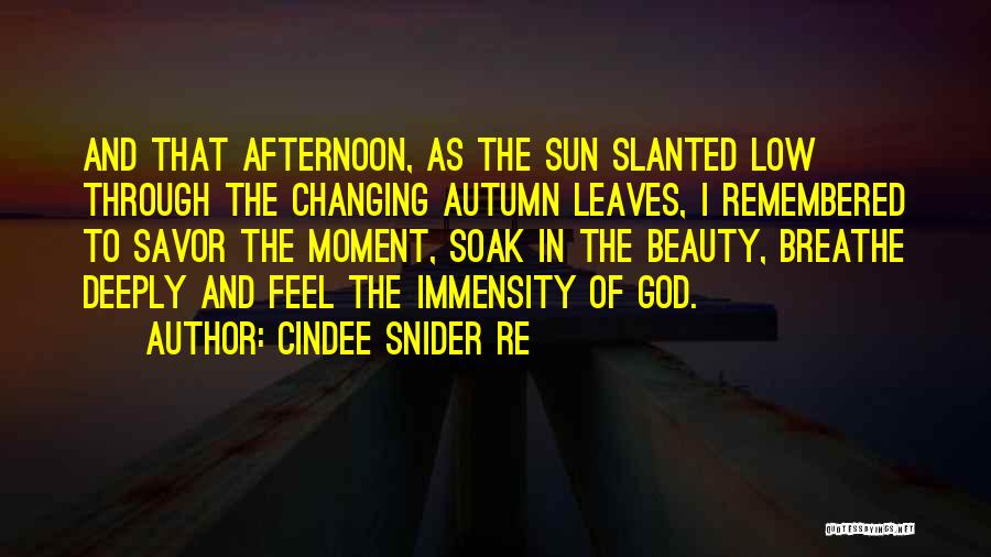 Feel The Sun Quotes By Cindee Snider Re