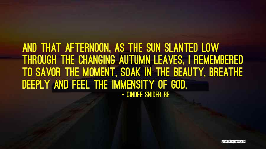 Feel The Sun Quotes By Cindee Snider Re