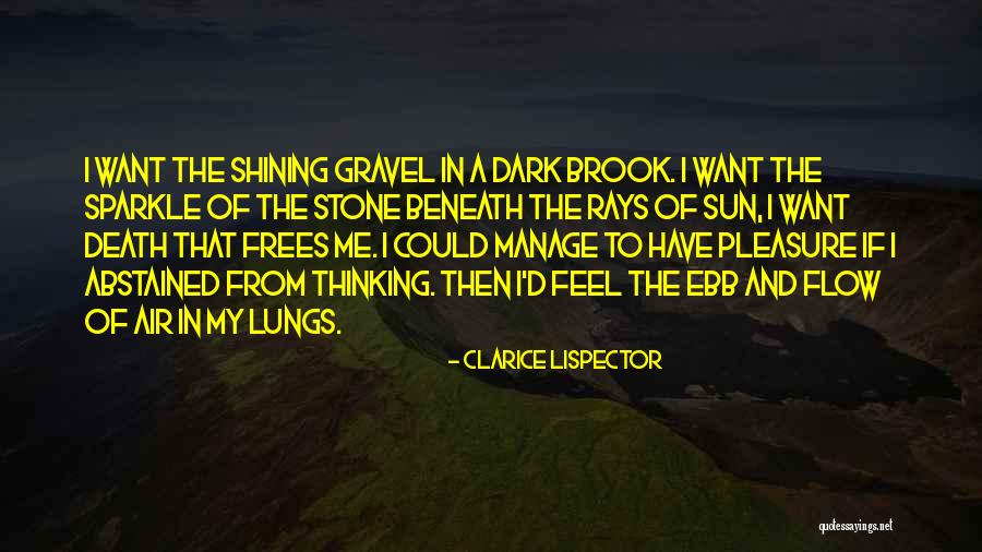 Feel The Sun Quotes By Clarice Lispector