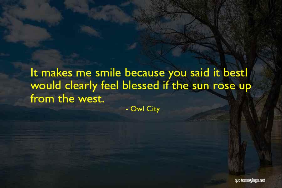 Feel The Sun Quotes By Owl City