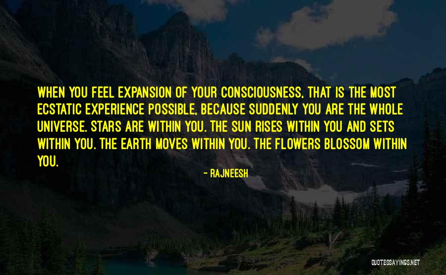 Feel The Sun Quotes By Rajneesh