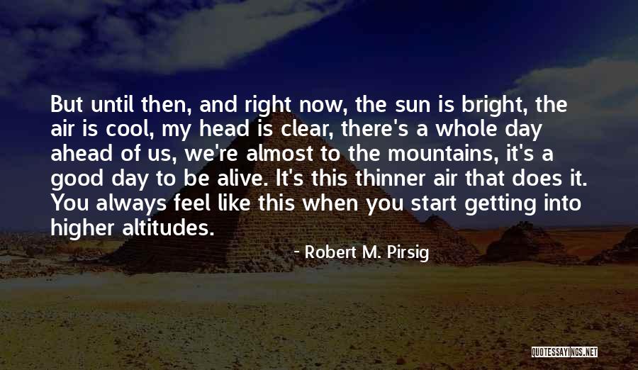 Feel The Sun Quotes By Robert M. Pirsig