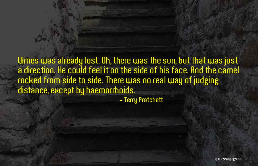 Feel The Sun Quotes By Terry Pratchett