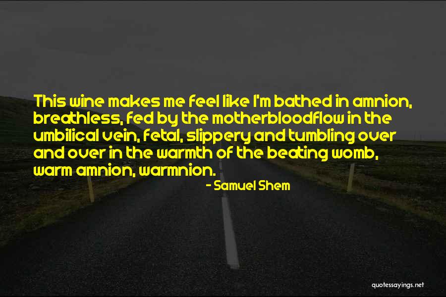 Feel The Warmth Quotes By Samuel Shem Feel The Warmth Quotes By Samuel Shem