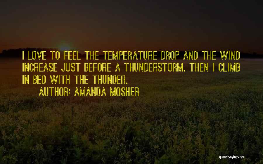 Feel The Wind Quotes By Amanda Mosher