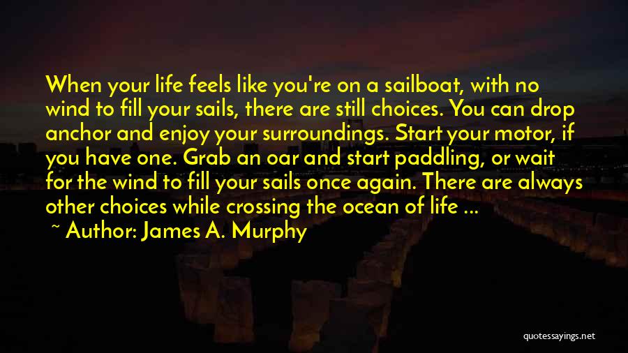 Feel The Wind Quotes By James A. Murphy