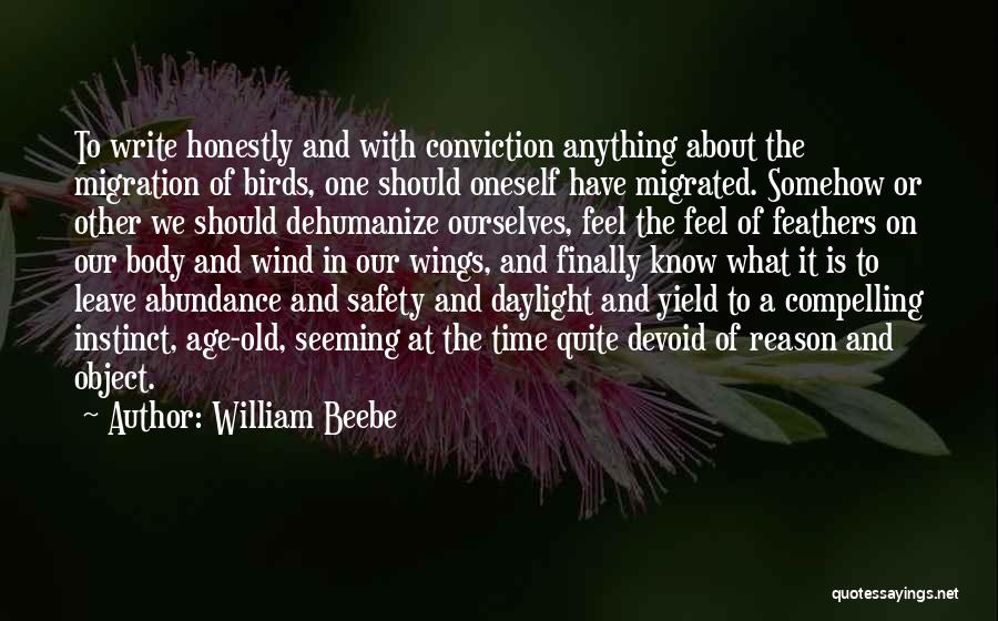 Feel The Wind Quotes By William Beebe