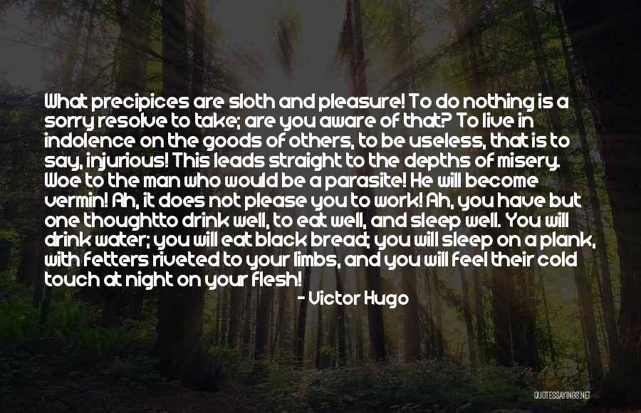 Feel Your Touch Quotes By Victor Hugo