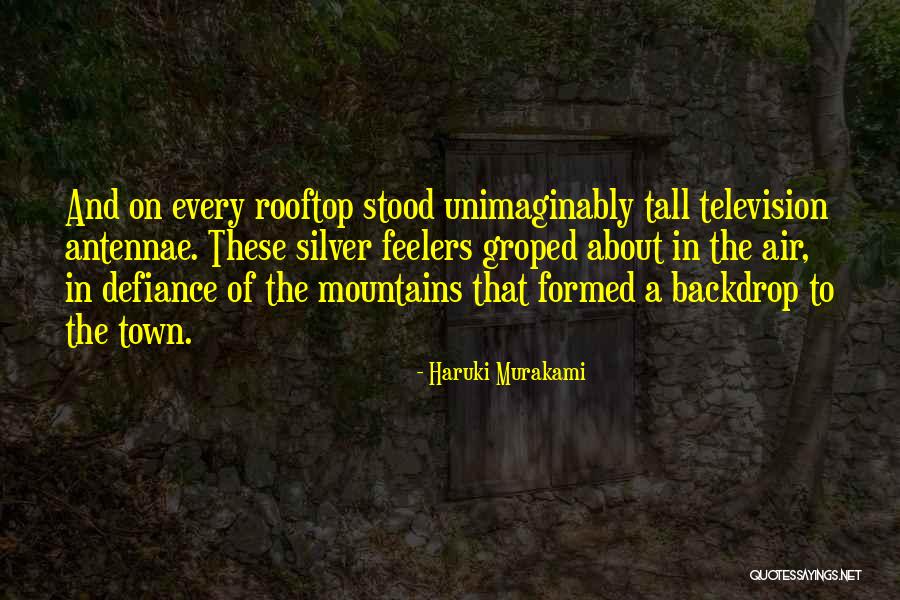 Feelers Quotes By Haruki Murakami Feelers Quotes By Haruki Murakami