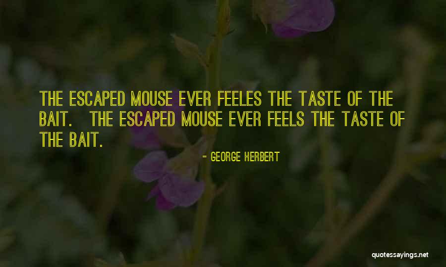 Feeles Quotes By George Herbert Feeles Quotes By George Herbert