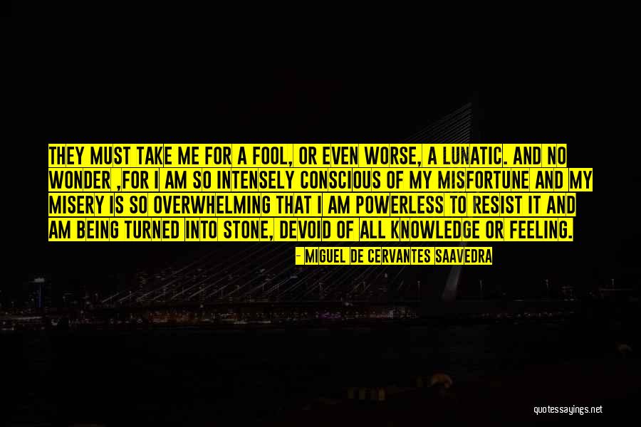 Feeling A Fool Quotes By Miguel De Cervantes Saavedra Feeling A Fool Quotes By Miguel De Cervantes Saavedra
