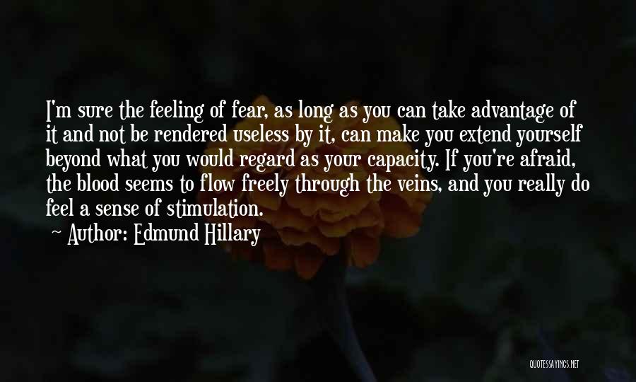 Feeling Afraid Quotes By Edmund Hillary