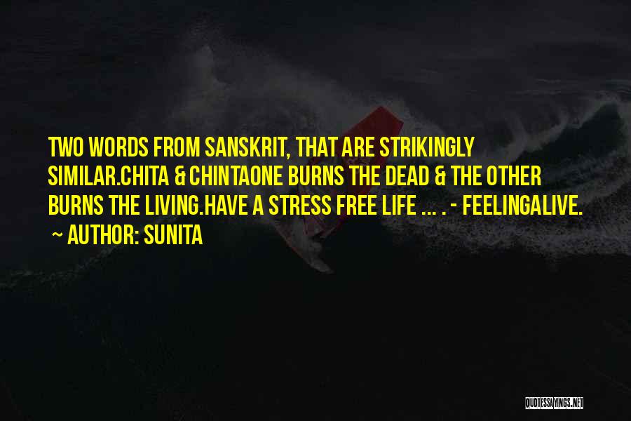 Feeling Alive And Free Quotes By Sunita