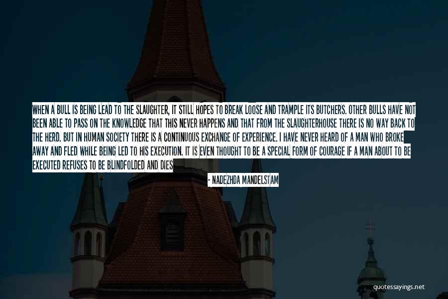 Feeling And Form Quotes By Nadezhda Mandelstam