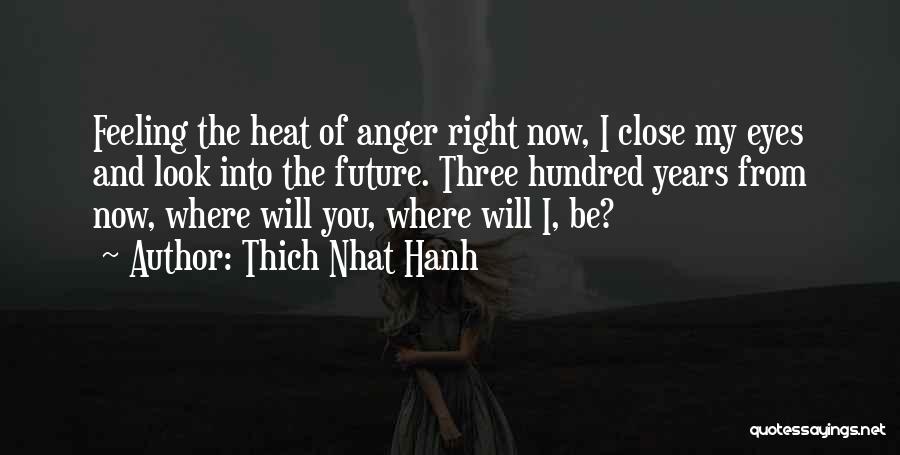 Feeling Anger Quotes By Thich Nhat Hanh