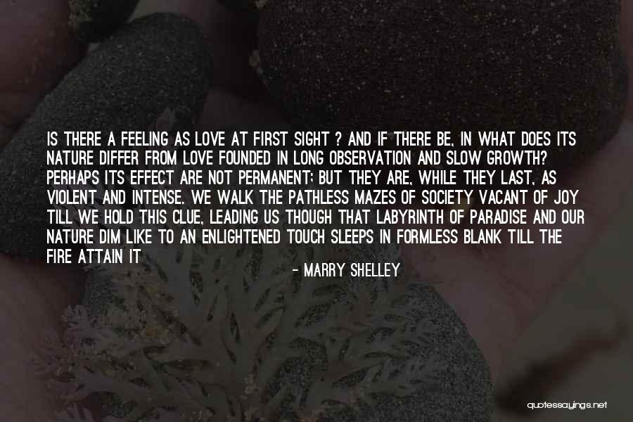 Feeling Blank Quotes By Marry Shelley Feeling Blank Quotes By Marry Shelley