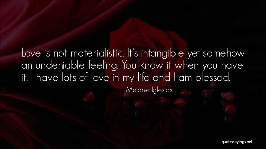 Feeling Blessed In Life Quotes By Melanie Iglesias