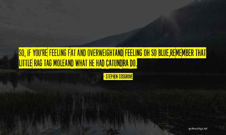 Feeling Blue Quotes By Stephen Cosgrove Feeling Blue Quotes By Stephen Cosgrove
