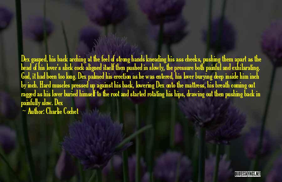 Feeling Butterflies In Stomach Quotes By Charlie Cochet